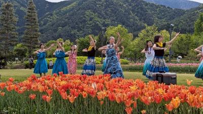 早春賦音楽祭に参加しました！について