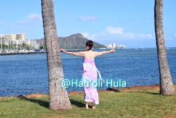 Hālau O Hauʻoli Hula外観